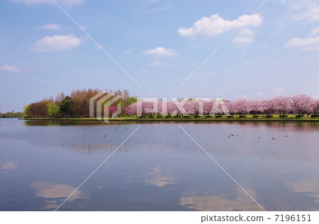 Ura Haru Ura Haru 7196151