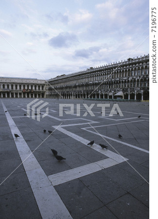 聖馬克廣場和一羽鴿子 7196775