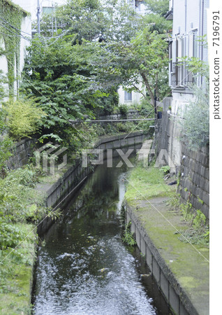 Maruko River of Seta Ward, Seta 7196791