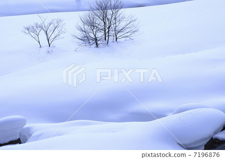 斯諾伊風景和樹 7196876