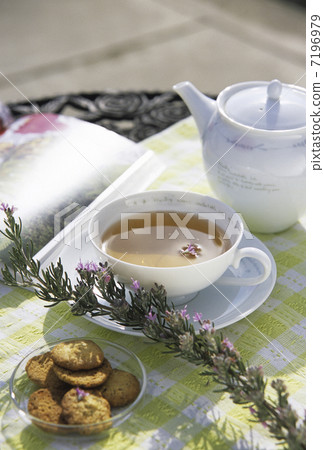 Herb tea and rosemary 7196979
