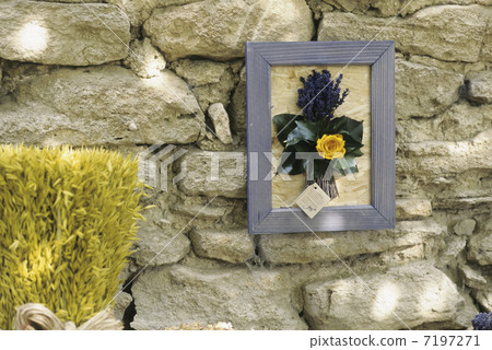 草本框架 草本框架 7197271