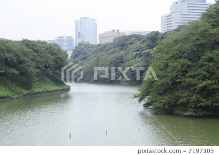 Pond and green Pond and green 7197303
