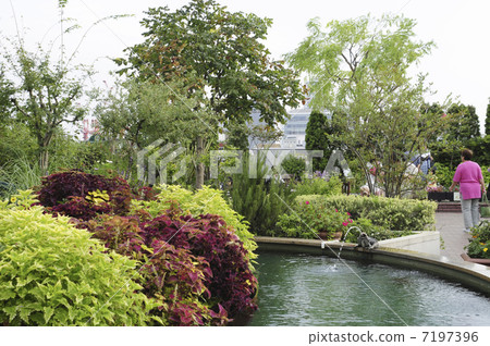 Garden Island garden 7197396