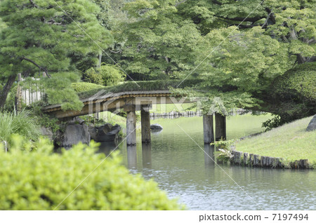 Bridge in the garden 7197494