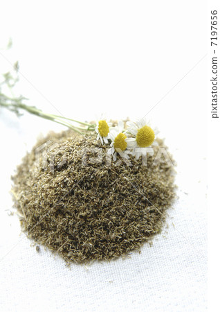 草藥和洋甘菊 草藥和洋甘菊 7197656