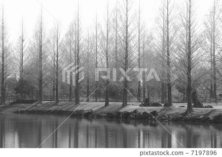 與池塘的風景 與池塘的風景 7197896