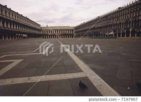 聖馬克廣場的圖案 7197907