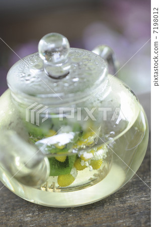 香草茶 香草茶 7198012