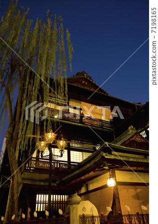 道後溫泉主樓夜視圖 7198165