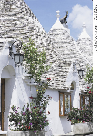 阿爾貝羅貝洛的特魯利 7198262