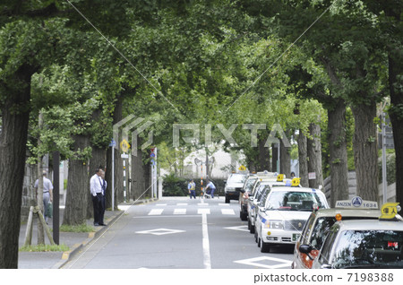 Namiki road Namiki road 7198388