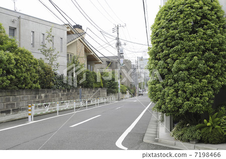 一條路 7198466
