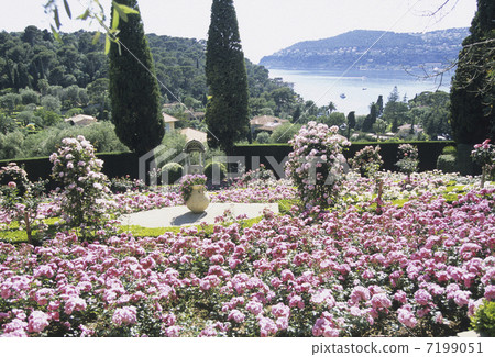 A rose garden at Rothschild's house 7199051