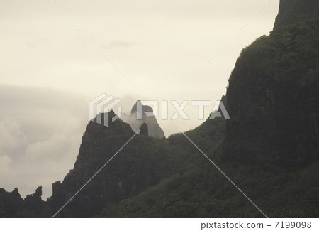 莫雷阿島山皮 7199098