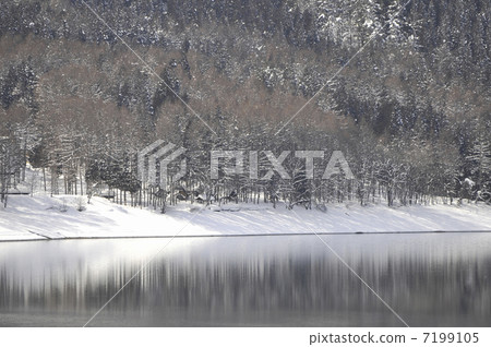 Trees and lakes Trees and lakes 7199105