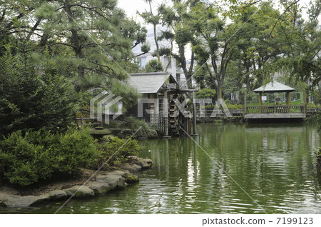 Spring spring pond 7199123