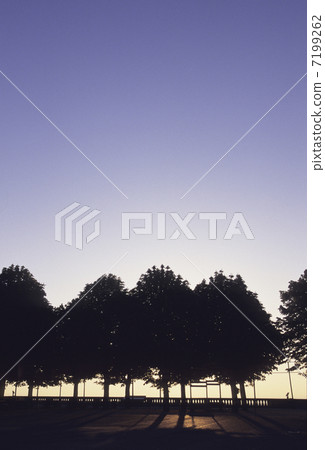 A row of dawn 7199262