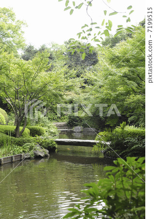 Ikeda-san公園的森林和池塘 7199515