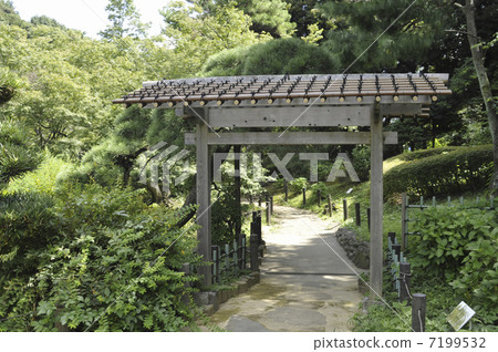 新江戶川公園 7199532