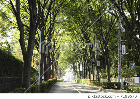 Hiroo Garden Hills' s sidewalks 7199570