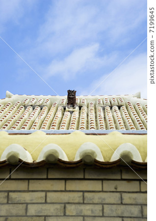 Ryukyu roof tiles 7199645
