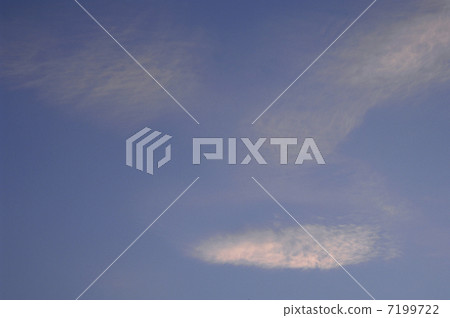 A spider A spider 7199722