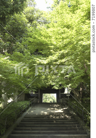 The mountain gate 7199807