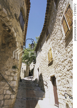 Eze的道路 7199872