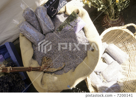 香草花香 香草花香 7200141