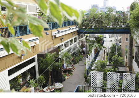 Garden Island 7200163