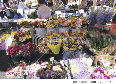Monte Carlo's Florist 7200230