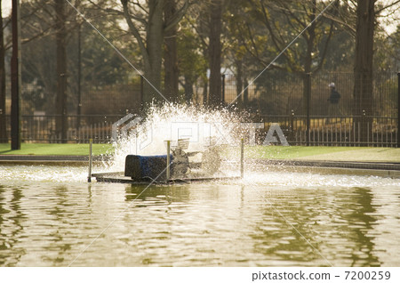 飛濺 飛濺 7200259