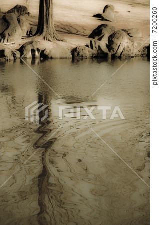 一個池塘 7200260