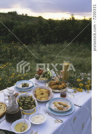 Outdoor dining table 7200331