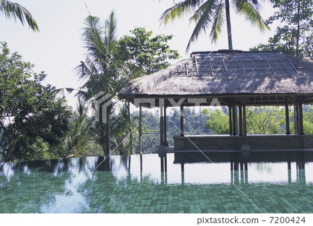 Hotel cottage 7200424