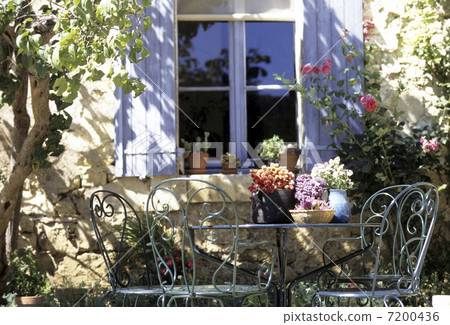 Herbs on the table 7200436