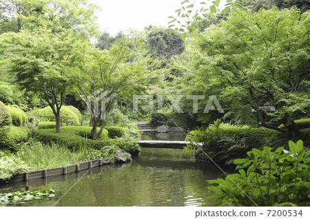 Forest and pond at Ikeda-san Park 7200534