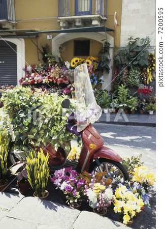 滑板車的花朵 滑板車的花朵 7200595