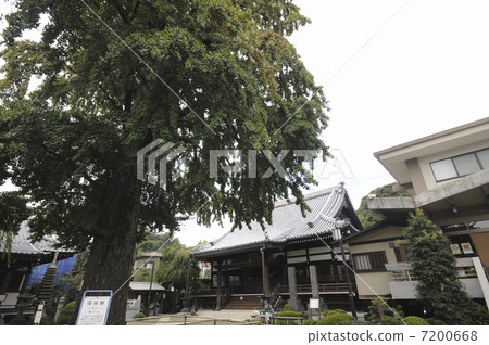 Jolin temple Jolin temple 7200668