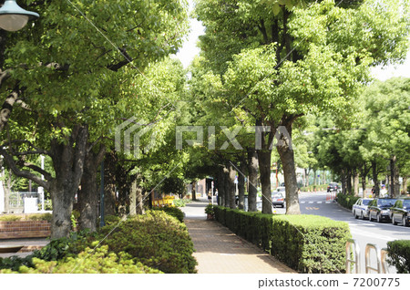 A sidewalk overflowing with greenery 7200775