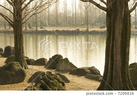 與池塘的風景 與池塘的風景 7200816