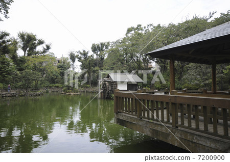 春天的春天池塘 7200900