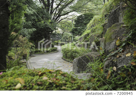 Saigo Mountain Park 7200945