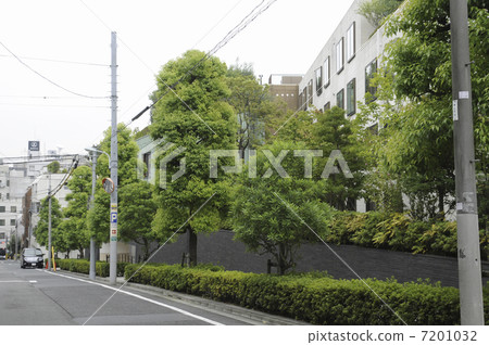 Kamiyama cho 7201032