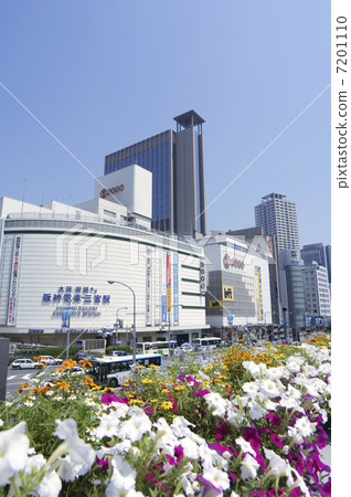 Flower Road 7201110