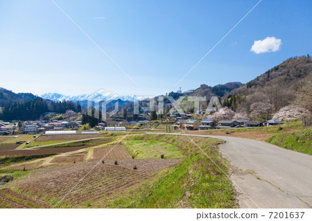 Spring where the Alps can be seen Spring where the Alps can be seen 7201637