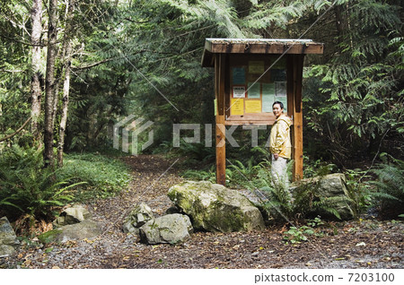 BLD014726 BLD014726 7203100