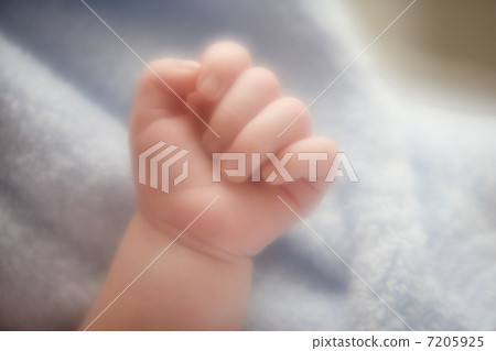 BLD017911 BLD017911 7205925