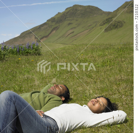 BLD029082 BLD029082 7210322